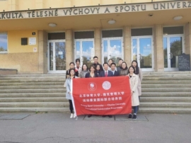 so米体育指定入口图片