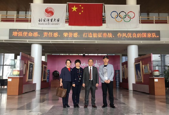 so米体育稳定线路图片