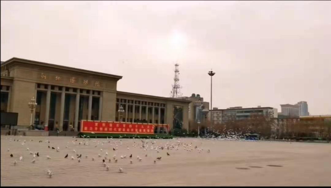so米体育稳定线路图片