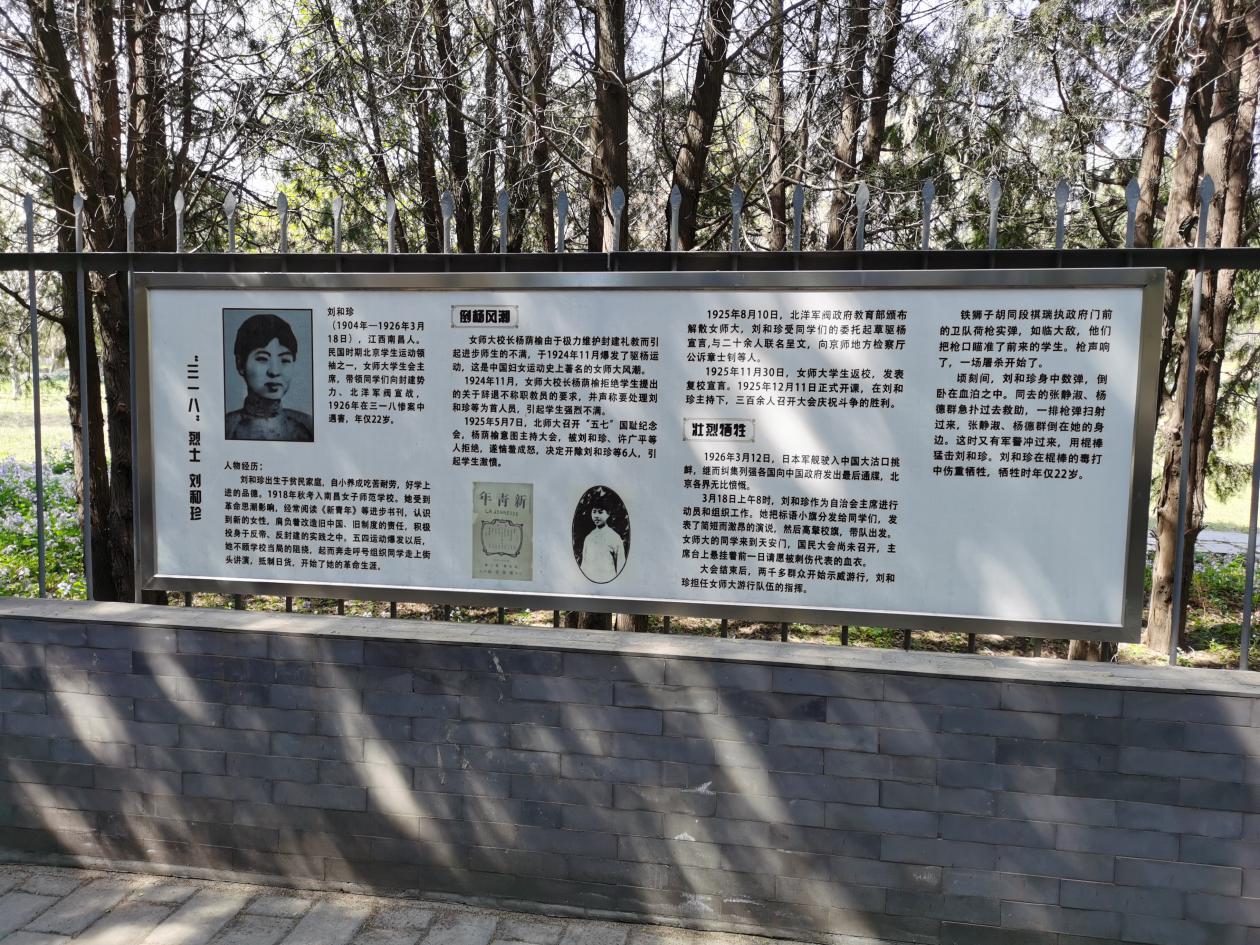 so米体育官方指定端图片