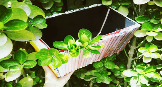 so米体育欧冠直播图片