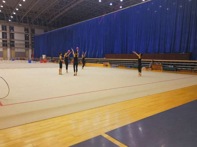 so米体育官方指定端图片